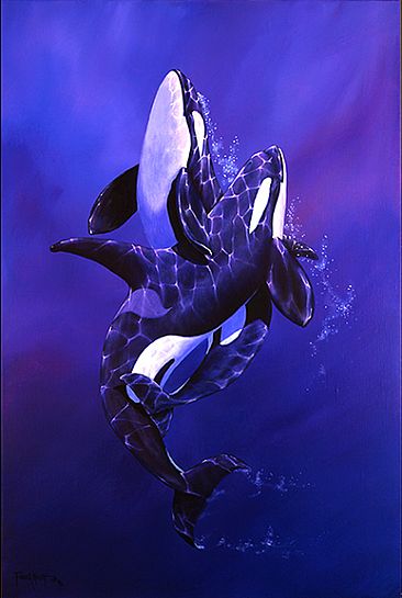 Mystic Embrace - Orcas by Frank Walsh