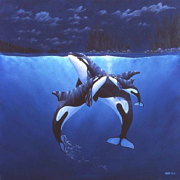 Northern Eve Orcas - Orcas by Frank Walsh