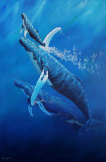 Ohana Rising - Humpback  Whales by Frank Walsh
