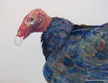 Scarlet - Turkey Vulture - Turkey Vulture by Karyn deKramer