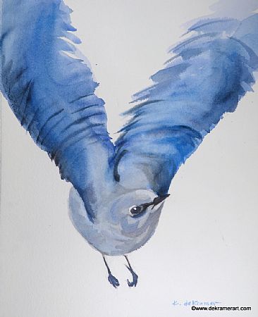Mountain Bluebird Flight - Songbird- Mountain Bluebird by Karyn deKramer