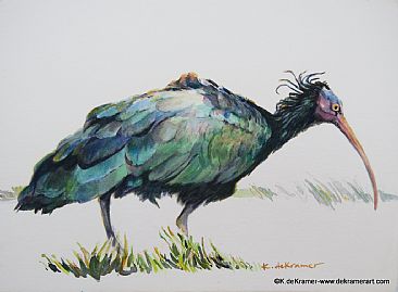 Bald Ibis II - Bird -Northern Bald Ibis by Karyn deKramer