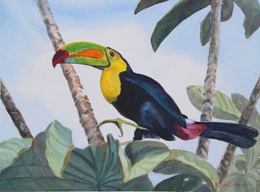 Toucan - Toucan in the rainforest canopy by Karyn deKramer