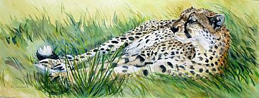Cheetah - Cheetah by Karyn deKramer