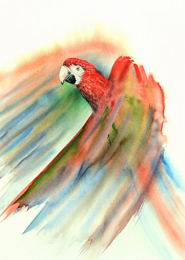 Dissolve 10 - Green-winged Macaw by Norbert Gramer