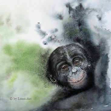 dissolve 13 - Bonobo by Norbert Gramer