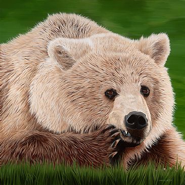 Bashful - Grizzly Bear by Lynn Erikson