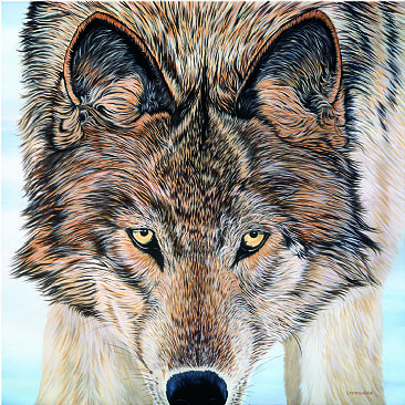 Curious Wolf - Wolf by Lynn Erikson