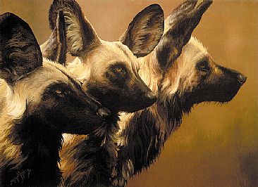 African wild dogs - African wild dogs by Susan Jane Lees