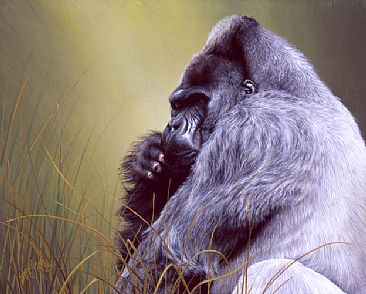 Portrait of Jock - Western lowland gorilla silverback by Susan Jane Lees