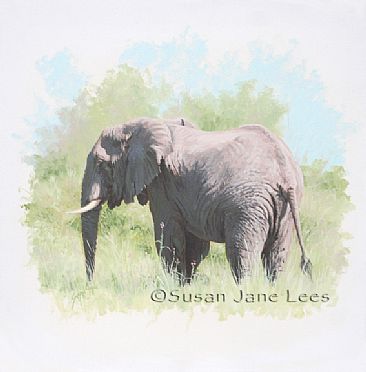 Serenity - African elephant by Susan Jane Lees
