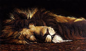 The Lion Sleeps.... - Asiatic lion by Susan Jane Lees