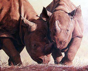The Orphans - Black rhino juveniles by Susan Jane Lees