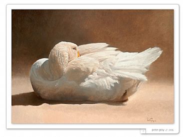  - Goose by Peter Gray