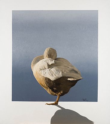 Golden Goose -  by Peter Gray