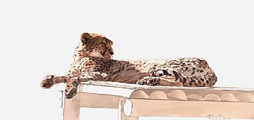 Captive Series - Cheetah Sketch - Cheetah by Peter Gray