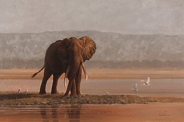 Crocodile Creek - Elephant at river side by Peter Gray