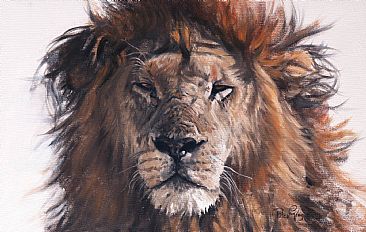 Portrait - Lion by Peter Gray