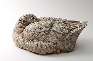 Sleeping Goose - Embden Goose by Peter Gray