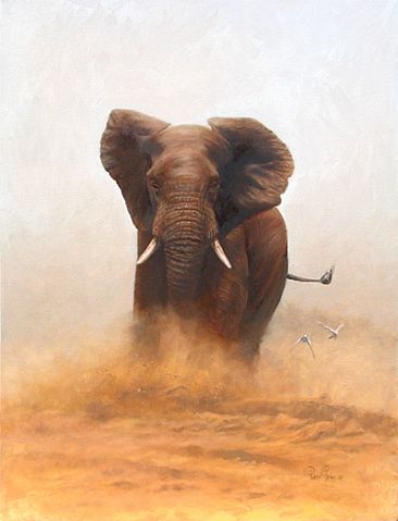  - African ele by Peter Gray