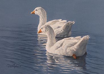 Company - Embden geese by Peter Gray