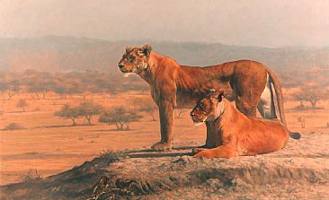 Neighbourhood Watch - Two lioness by Peter Gray
