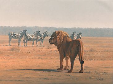 Window Shopping - Lion and Zebra by Peter Gray