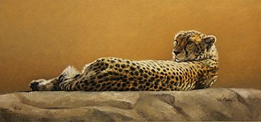 Basking Cheetah (i) - Cheetah by Peter Gray