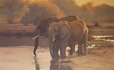 Hidden Calf - Elephant by Peter Gray