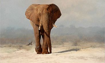 Elephant Walk -  by Peter Gray