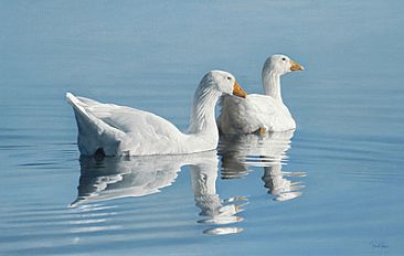  - Embden geese by Peter Gray