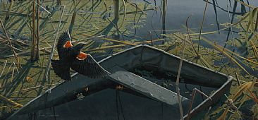 Pond's Edge - Red-Winged Blackbird by Josh Tiessen
