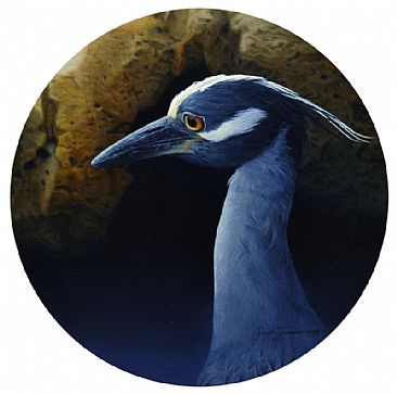 Regal Blues - Yellow-Crowned Night Heron by Josh Tiessen