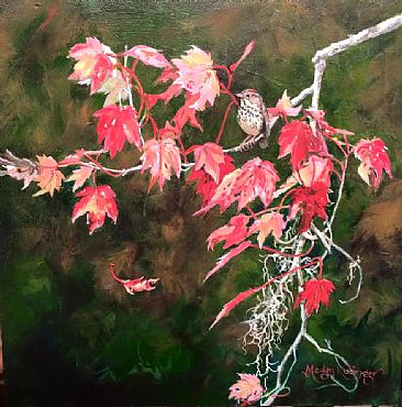 Pride & Fall - Ovenbird in Fall by Megan Kissinger