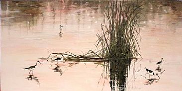 Shadows & Shallows - Black-Necked Stilts in Storm Conservation Area by Megan Kissinger