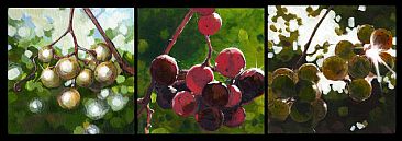 Little Foxes I, II and III Limited Edition Print Portfolio - Wild Southern Fox Grapes by Megan Kissinger