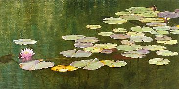 Blooming Time in a Lily Pond -  by Olena Lopatina
