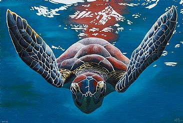 Turtle in the water - Acrylic on Canvas by Sunita Dhairyam
