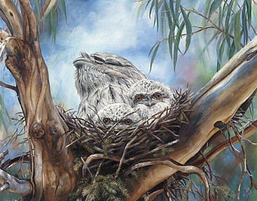 Tawny Frog Mouthed Owls - Tawny Frog Mouth Family by Elizabeth Cogley