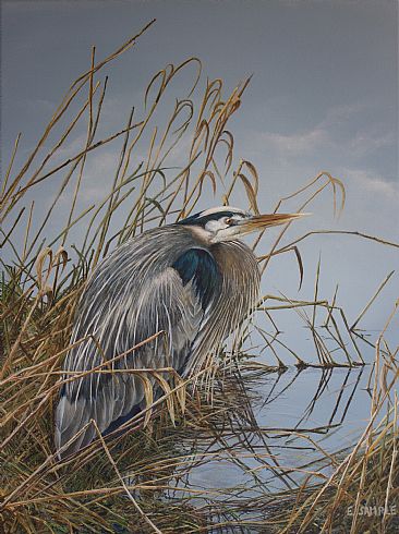 Quiet Contemplation - blue heron by Esther Sample