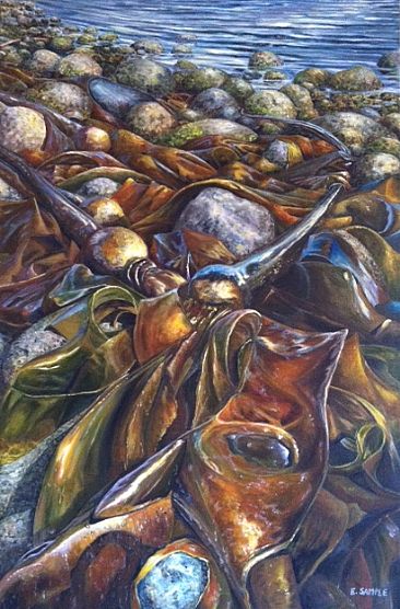 Tide's Offering - intertidal zone by Esther Sample