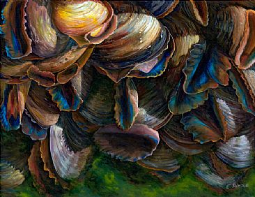 Mussels' Beauty - intertidal zone by Esther Sample