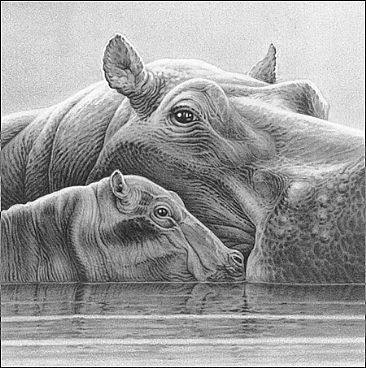 Baby Love - Hippo mother and calf by Gary Hodges