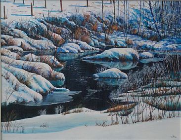 Winter Creek in Kane Valley - A small open winter creek by Murray Phillips
