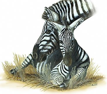 A Gentle Touch - Zebra by Anne Corless