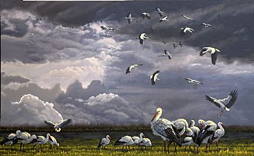 The Long Way Home - Migration of Storks by Valentin Katrandzhiev