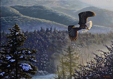 Whisper From the Valley - American Bald Eagle by Valentin Katrandzhiev