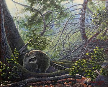 Raccoon - American Racoon by Valentin Katrandzhiev