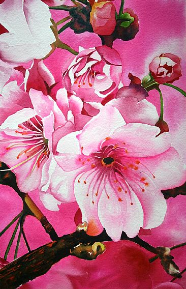 Blossom Pink - Bright Pink Cherry Blossoms by Sarah Bent