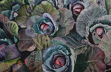Ornamental Cabbages - Ornamental Cabbages by Sarah Bent